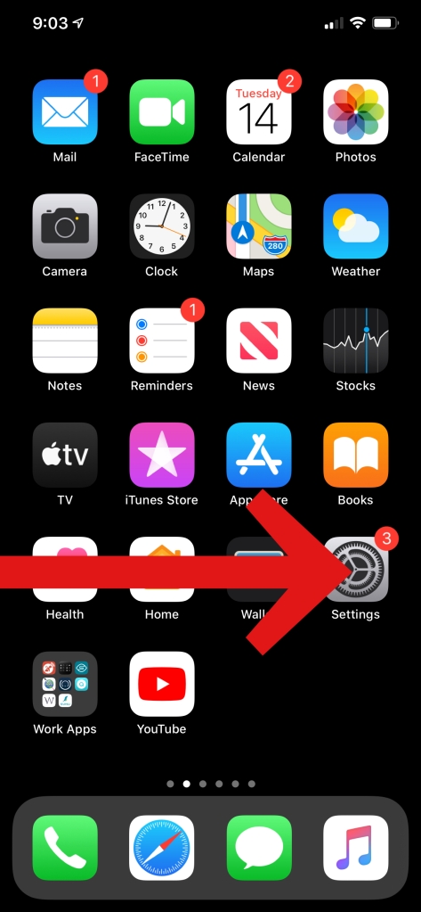 screenshot of iPhone with with red arrow pointing toward settings tab